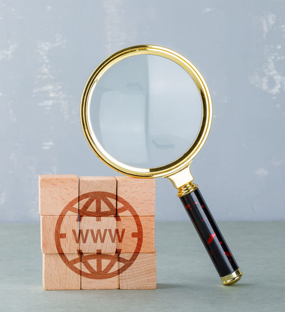 canonical etiqueta seo